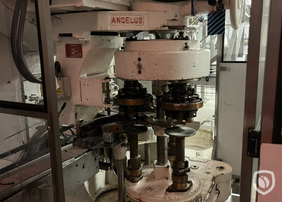 Angelus 53 P